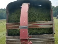 summer hay 3.jpg