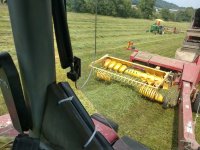summer hay 4.jpg