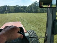 summer hay 6.jpg