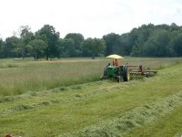 summer hay 9.jpg