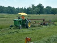 summer hay 5.jpg