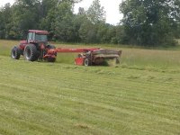 summer hay 7.jpg