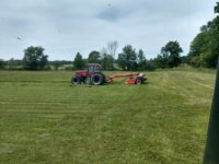 summer hay 8.jpg