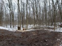 20190331_154800.jpeg