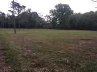 IMG_6422.JPG