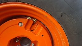 20190729_080919.jpg