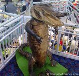 FLORLmermaidstore_gator.jpg