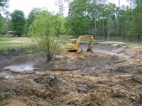 4-1-19 Island Going.jpg