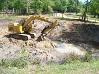 4-2-19 CAT on Island 2.jpg