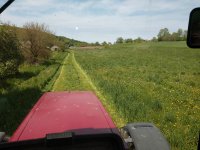 hay 2.jpg