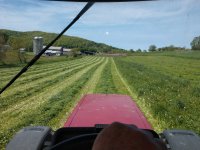 hay 3.jpg