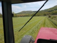 hay 4.jpg