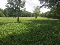 IMG_20190704_122122.jpg