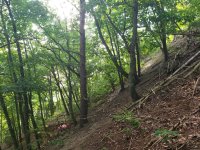 20190704_184849.jpeg