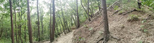 20190729_180915.jpeg