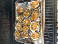 Oysters 1.jpg
