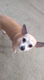 IMG_20190716_190150232.jpg