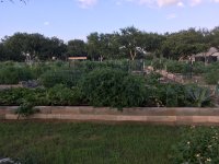 IMG_2972.JPG