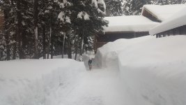20180218_173251_001.jpg 20180218_173251_001.jpg