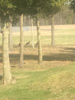 IMG_1320.JPG