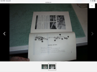 4E351241-760A-4E91-A058-9EC1CF5977FF.png