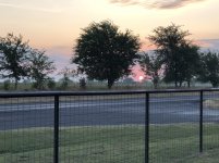 IMG_0356.jpg