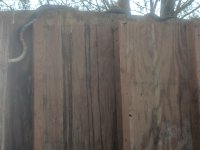 IMG_20190521_191345.jpg
