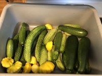 cukes.png