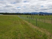 fence 1.jpg
