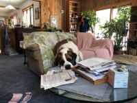 IMG_9603.jpeg