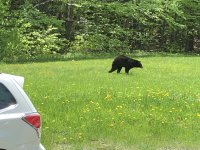 IMG_2273.JPG