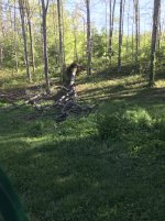 IMG_2056.JPG