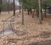 Swale.jpg