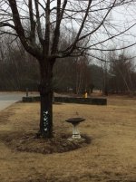 IMG_0323.JPG