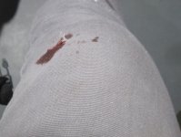 Chaps 2.jpg