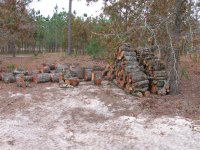 778320-IMG_0109 (Small).JPG