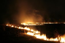 861397-IMG_2790.jpg