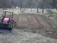 788732-Deer Plot.JPG