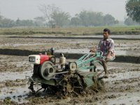 Rice tractor.jpg