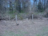 874677-DSC00059.JPG