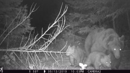 MomCubs.jpg
