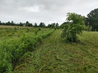 IMG_20180625_083623714_HDR.jpg