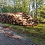 20 logger cords.jpg