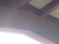 IMG_3376.jpg