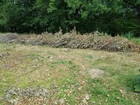 foto1.jpg