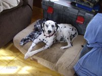 Farm 2018 005.JPG