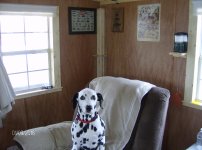Farm 2018 008.JPG