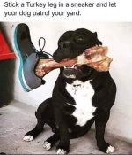 FB_IMG_1563332395722.jpeg