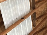 IMG_5925.jpeg