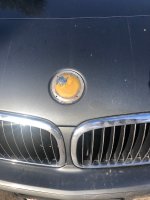 IMG_3088.jpeg